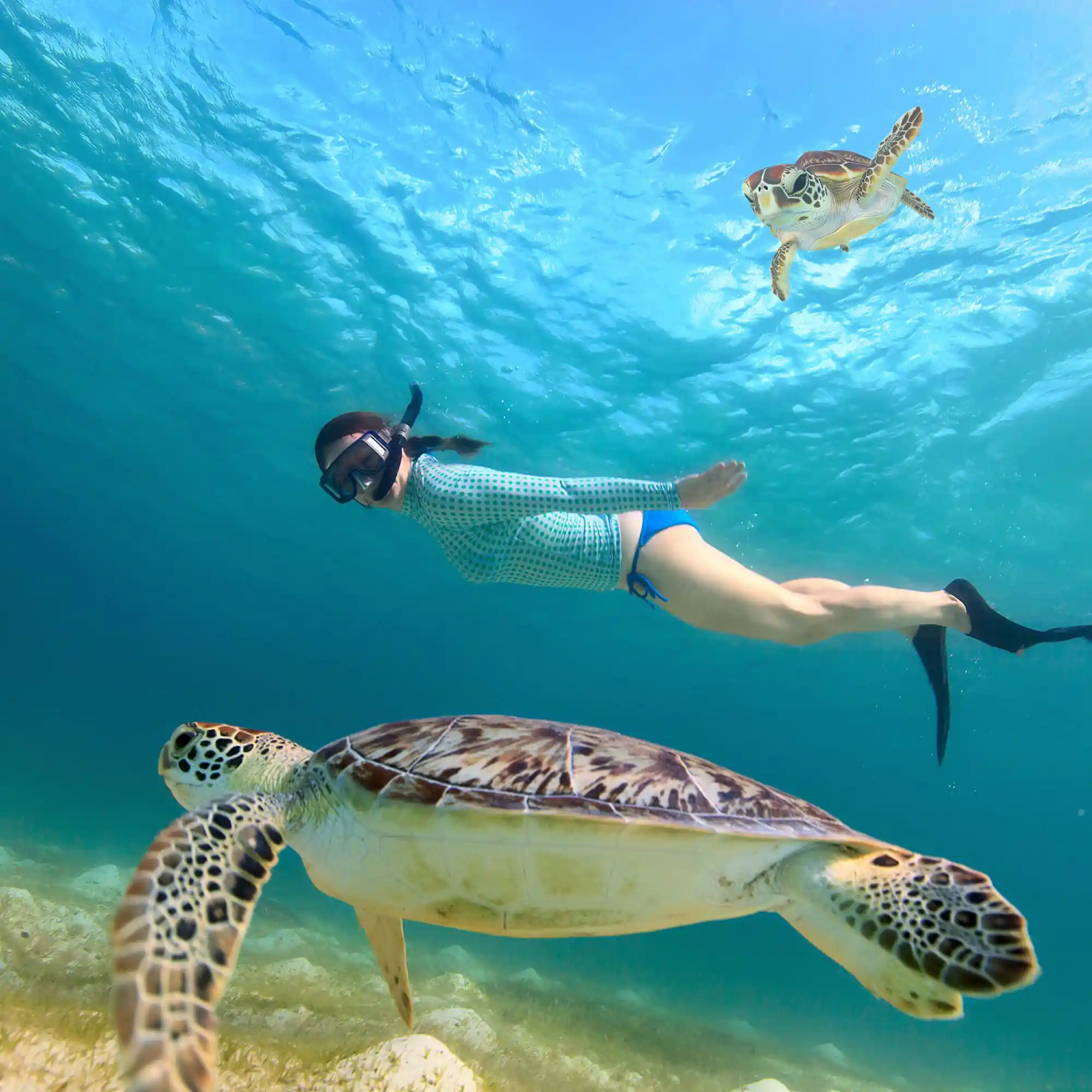 Mirissa Diving and Snorkelling Sri-Lanka