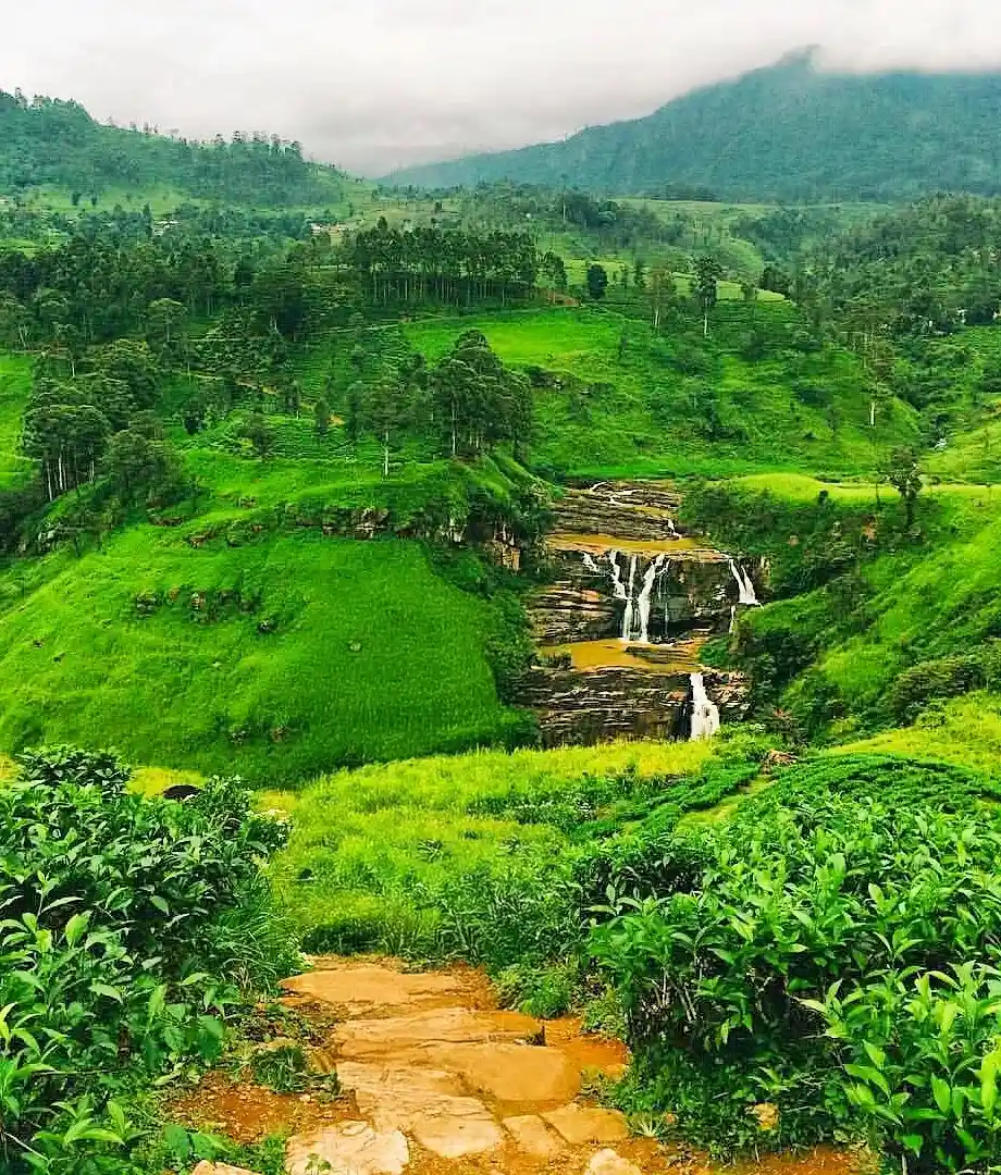 Safe Travel Nuwara Eliya Essential Tips & Guide